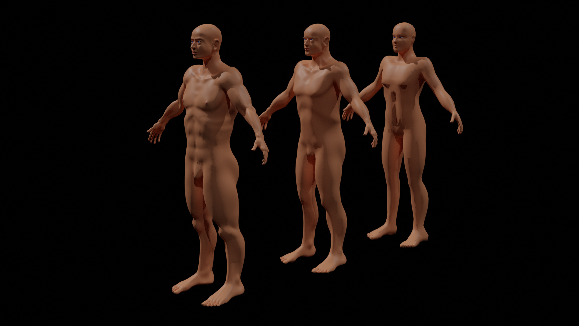Male Base Mesh preview image 1